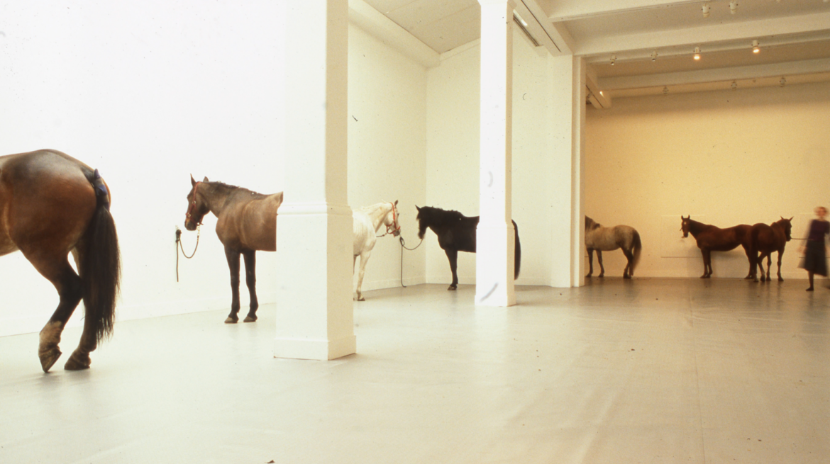 installation of horses in gallery