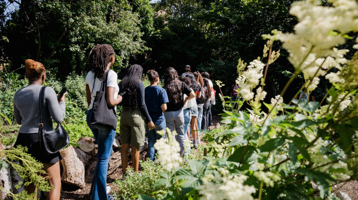 Group of young people from behind walking through nature reserve