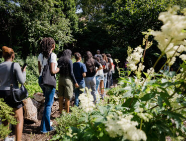 Group of young people from behind walking through nature reserve